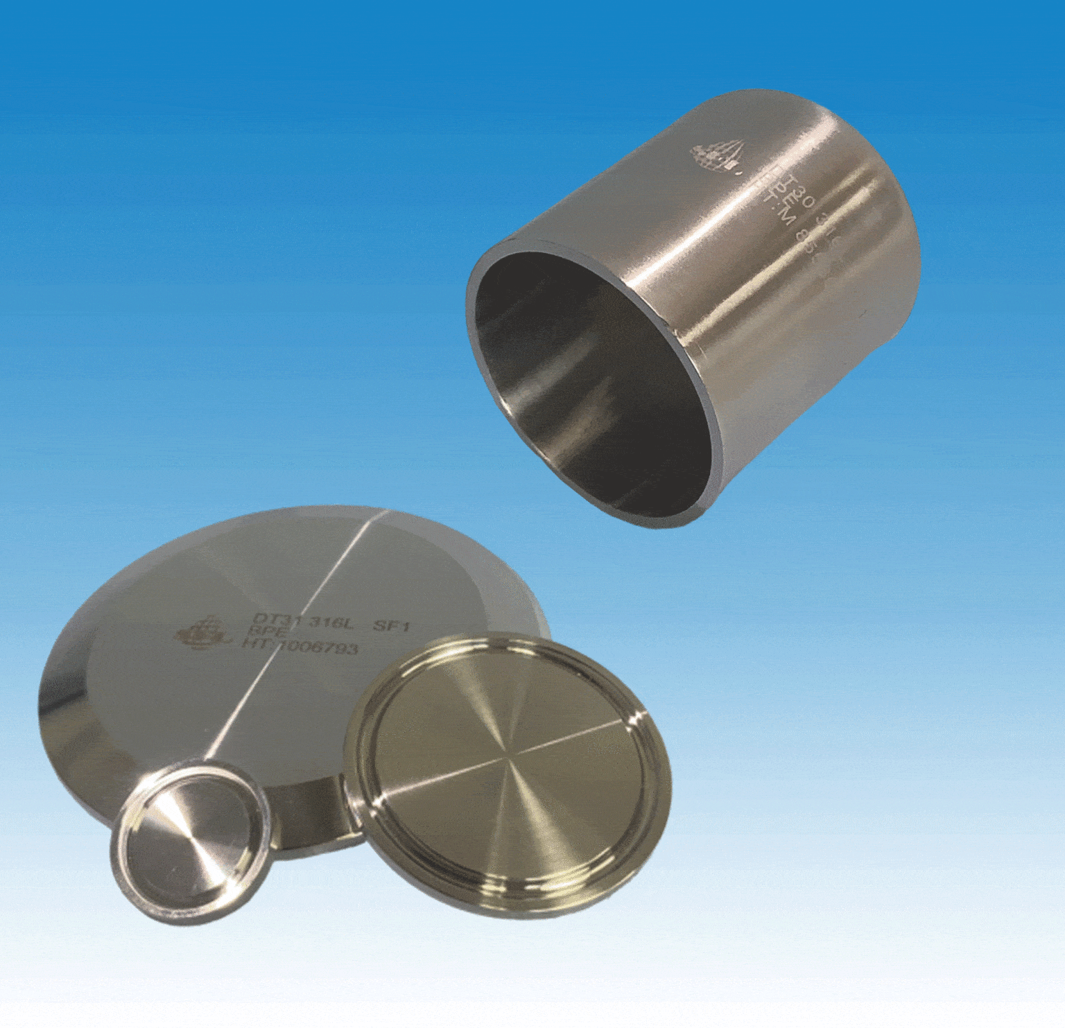 ASME BPE Caps & Blanks SFL Biobore Pharmaceutical Fittings DPL
